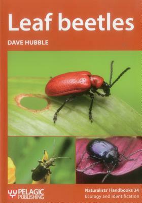 Leaf Beetles by Dave Hubble
