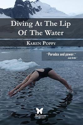 Diving At The Lip Of the Water by Karen Poppy, Karen Poppy