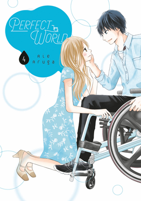 Perfect World, Volume 4 by Rie Aruga