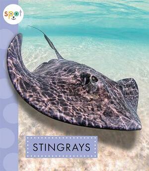 Stingrays by Mari Schuh