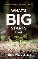 What's Big Starts Small: 6 Ways to Grow Great Faith by Mike Novotny, Mike Novotny