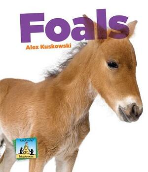 Foals by Alex Kuskowski
