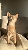 coralie_michon's profile picture