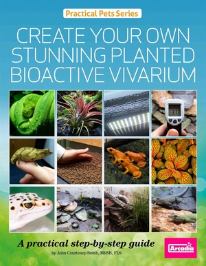 Create your own stunning planted bioactive vivarium by John Courteney-Smith