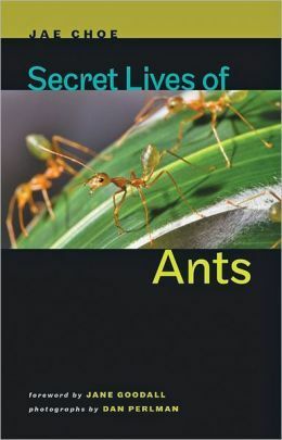 Secret Lives of Ants by Jae Choe, Dan Perlman, Jane Goodall
