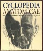 Cyclopedia Anatomicae by György Fehér