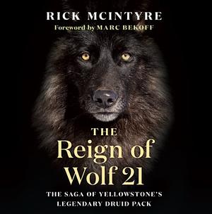 The Reign of Wolf 21 by Rick McIntyre