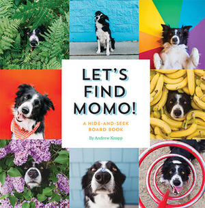 Let's Find Momo!: A Hide-And-Seek Board Book by Andrew Knapp