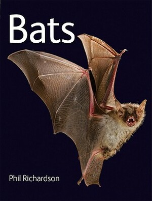 Bats by Phil Richardson