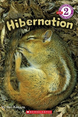 Hibernation by Tori Kosara