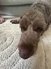 akenes_valdemar's profile picture