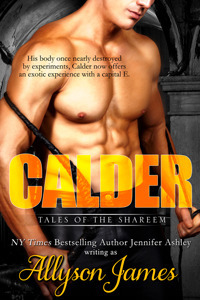 Calder by Allyson James