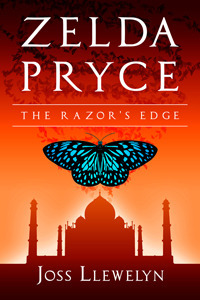 The Razor's Edge by Joss Llewelyn