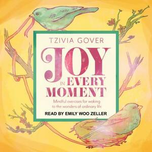 Joy in Every Moment: Mindful Exercises for Waking Up to the Wonders of Ordinary Life by Tzivia Gover