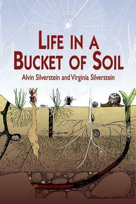 Life in a Bucket of Soil by Virginia Silverstein, Alvin Silverstein