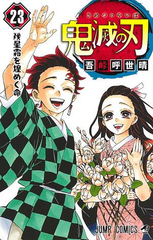 鬼滅の刃 23 [Kimetsu no Yaiba 23] by Koyoharu Gotouge