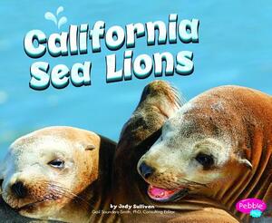 California Sea Lions by Megan C. Peterson