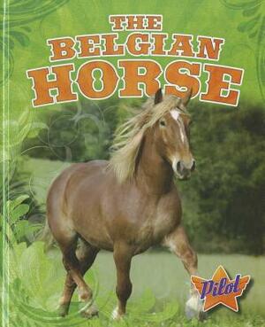 The Belgian Horse by Sara Green