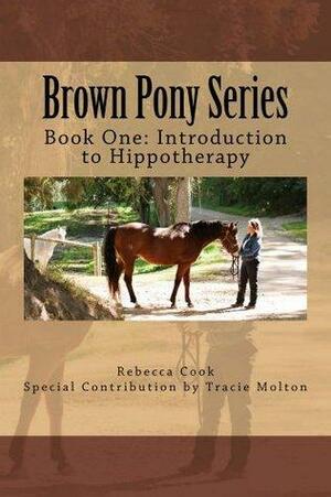 Brown Pony Series by Rebecca Cook