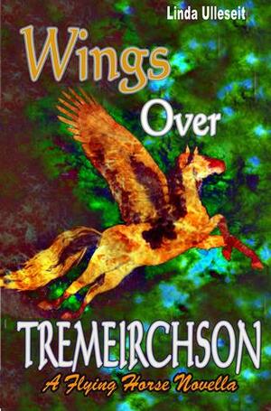 Wings Over Tremeirchson by Linda Ulleseit