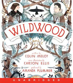 Wildwood CD by Colin Meloy