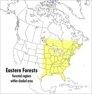 A Field Guide to Eastern Forests, North America by John C. Kricher, Gordon Morrison, Roger Tory Peterson