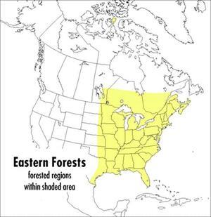 A Field Guide to Eastern Forests, North America by John C. Kricher, Roger Tory Peterson, Gordon Morrison