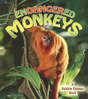 Endangered Monkeys by Molly Aloian, Bobbie Kalman