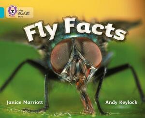 Fly Facts by Janice Marriott