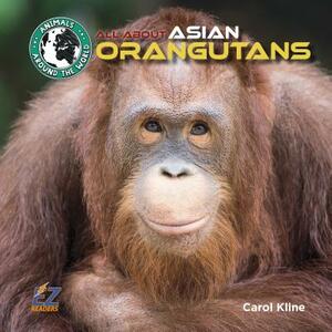 All about Asian Orangutans by Carol Kline