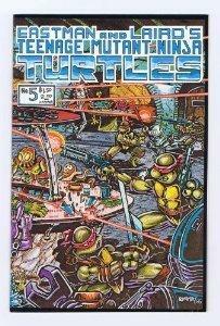 Teenage Mutant Ninja Turtles #5 by Kevin Eastman, Peter Laird