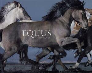 Equus by Tim Flach