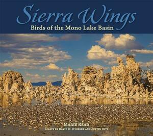 Sierra Wings: Birds of the Mono Lake Basin by Marie Read