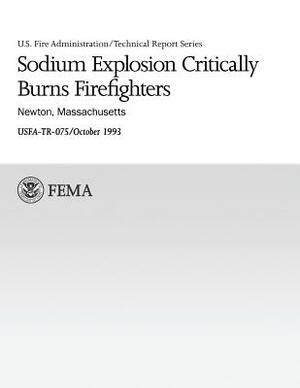 Sodium Explosion Critically Burns Firefighters: Newton, Massachusetts by J. Gordon Routley, U. S. Fire Administration