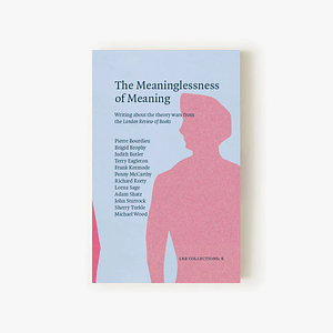 The Meaninglessness of Meaning: Writing about the Theory Wars from the London Review of Books by Sam Kinchin-Smith