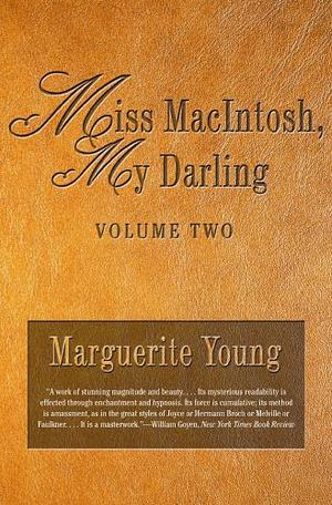 Miss MacIntosh, My Darling, Vol. 2 by Marguerite Young