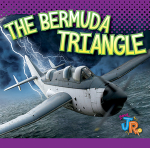 The Bermuda Triangle by Marysa Storm