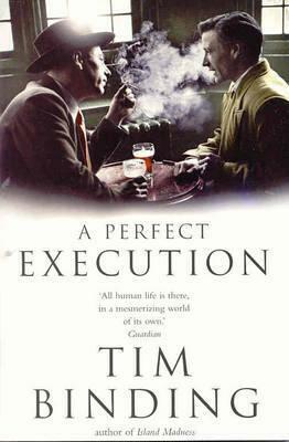A Perfect Execution by Tim Binding