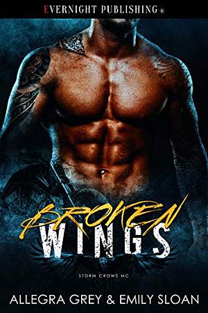 Broken Wings by Allegra Grey, Emily Sloan