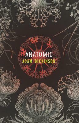 Anatomic by Adam Dickinson