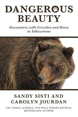 Dangerous Beauty: Encounters with Grizzlies and Bison in Yellowstone by Sandy Sisti, Carolyn Jourdan