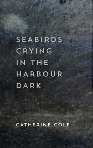 Seabirds Crying in the Harbour Dark by Catherine Cole