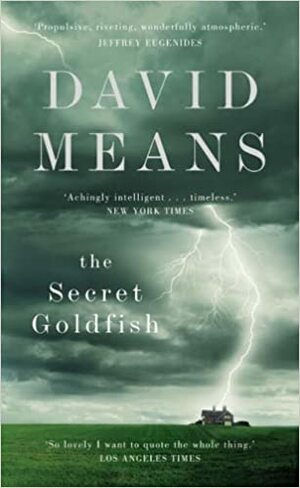 The Secret Goldfish by David Means