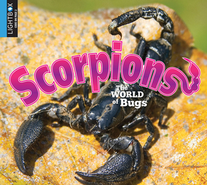 Scorpions by Jared Siemens