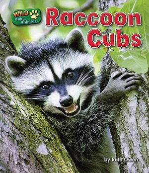 Raccoon Cubs by Ruth Owen