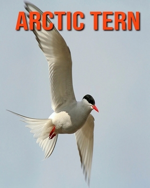 Arctic Tern: Incredible Pictures and Fun Facts about Arctic Tern by William Doyle