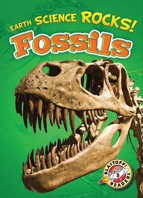 Fossils by Chris Bowman