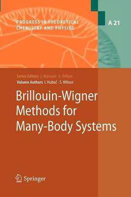 Brillouin-Wigner Methods for Many-Body Systems by Stephen Wilson, Ivan Hubac