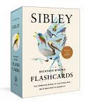 Sibley Backyard Birding Flashcards, Revised and Updated: 100 Common Birds of Eastern and Western North America by David Allen Sibley