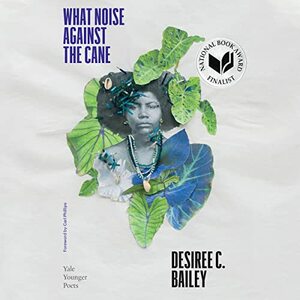 What Noise Against the Cane by Desiree C. Bailey